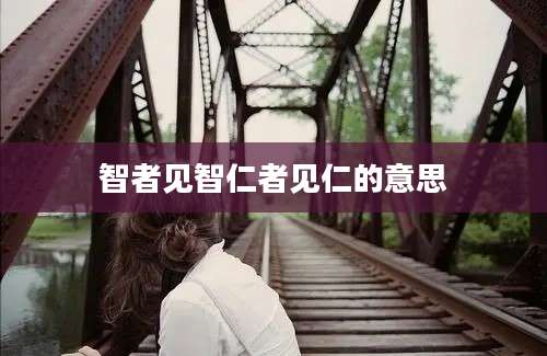 智者见智仁者见仁的意思