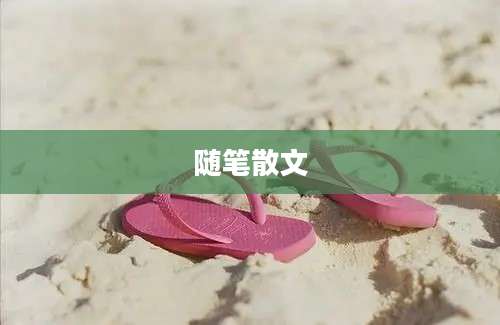 随笔散文