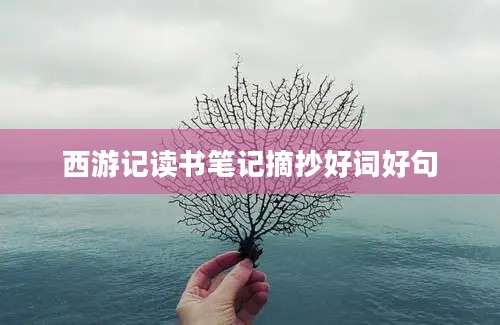 西游记读书笔记摘抄好词好句