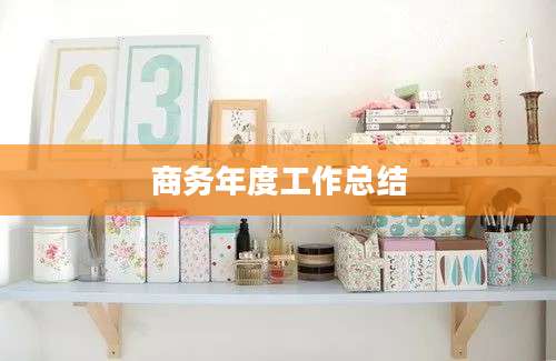商务年度工作总结