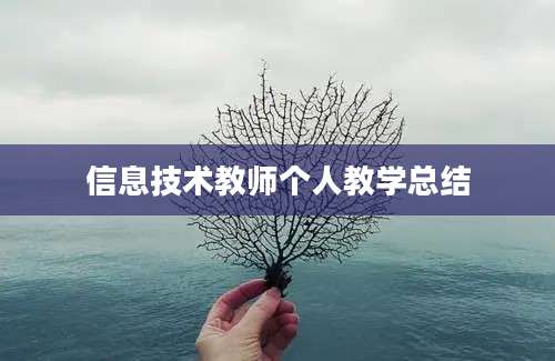 信息技术教师个人教学总结