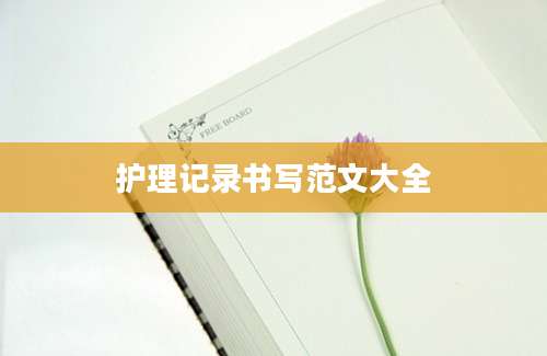 护理记录书写范文大全