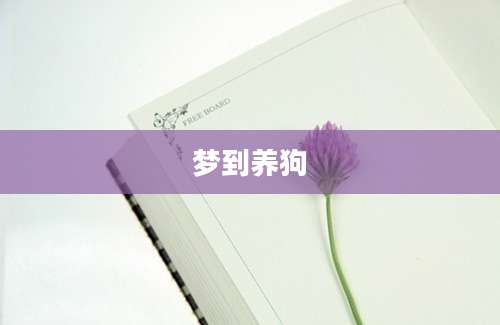 梦到养狗