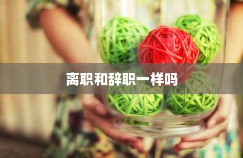 离职和辞职一样吗