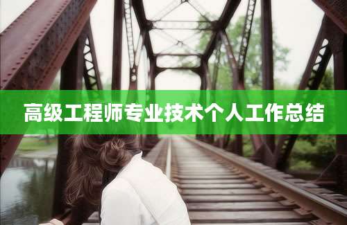 高级工程师专业技术个人工作总结