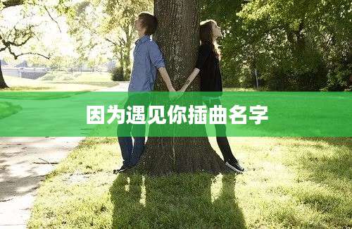 因为遇见你插曲名字
