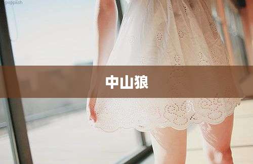 中山狼