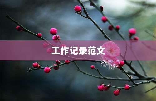 工作记录范文