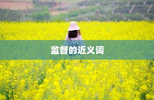 监督的近义词