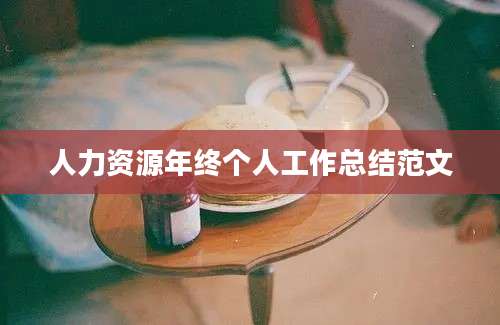 人力资源年终个人工作总结范文