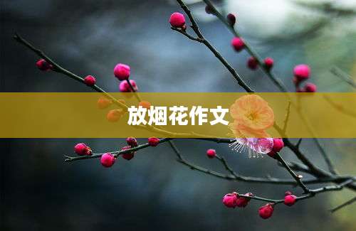 放烟花作文