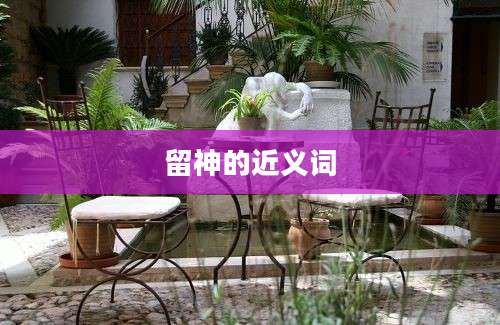 留神的近义词