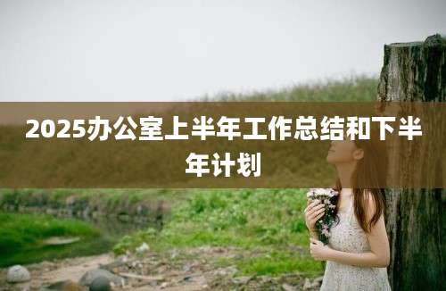 2025办公室上半年工作总结和下半年计划