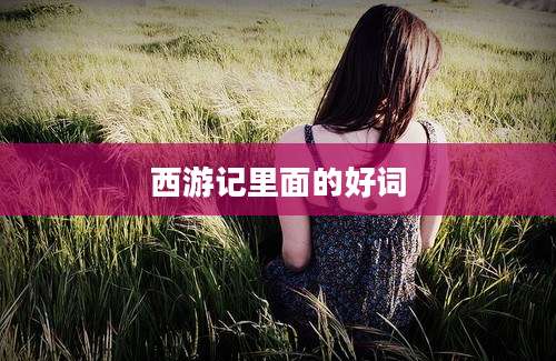西游记里面的好词