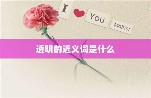 透明的近义词是什么