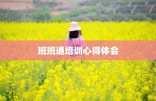 班班通培训心得体会