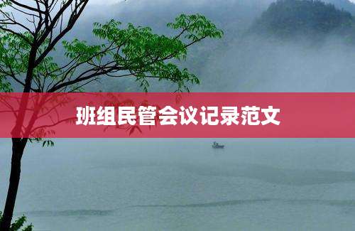 班组民管会议记录范文