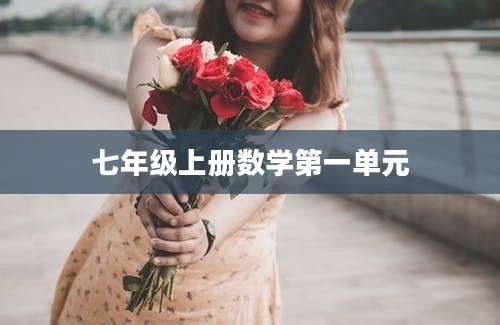 七年级上册数学第一单元