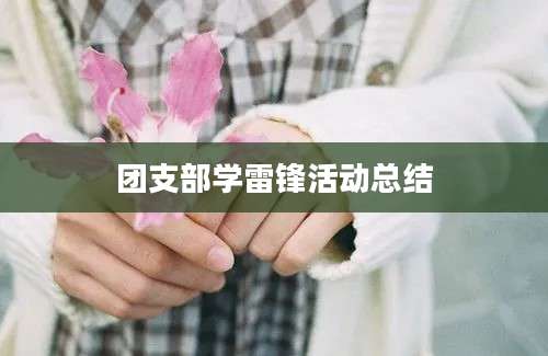 团支部学雷锋活动总结