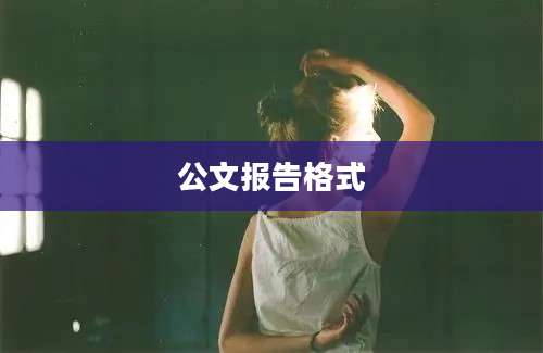 公文报告格式