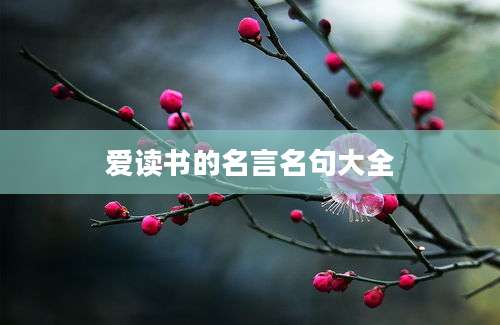 爱读书的名言名句大全