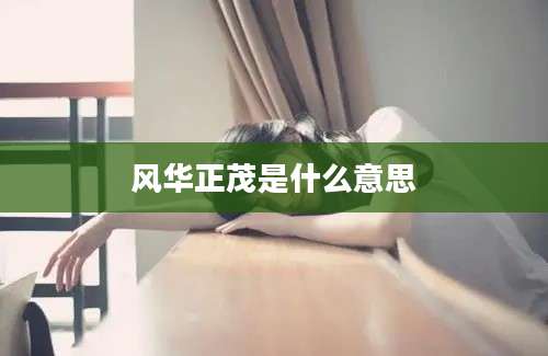 风华正茂是什么意思