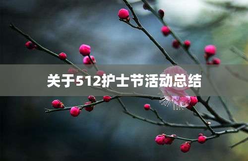 关于512护士节活动总结