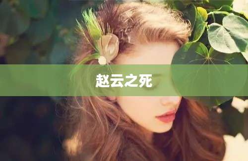 赵云之死