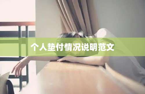 个人垫付情况说明范文