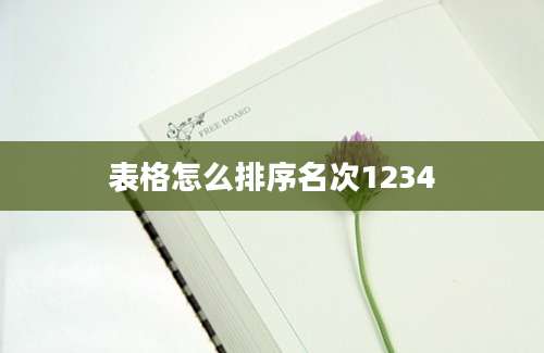表格怎么排序名次1234