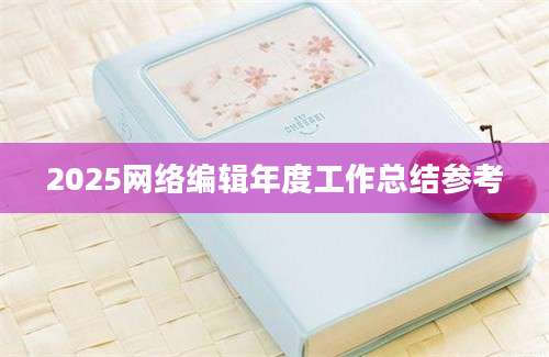2025网络编辑年度工作总结参考