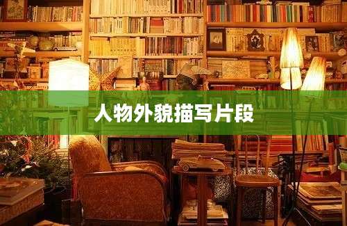 人物外貌描写片段