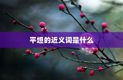 平坦的近义词是什么