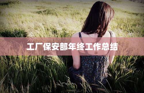 工厂保安部年终工作总结