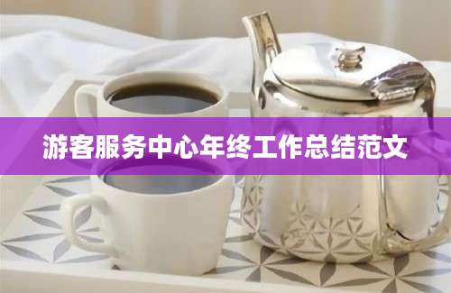 游客服务中心年终工作总结范文