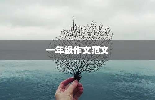 一年级作文范文