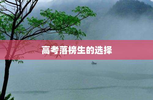 高考落榜生的选择