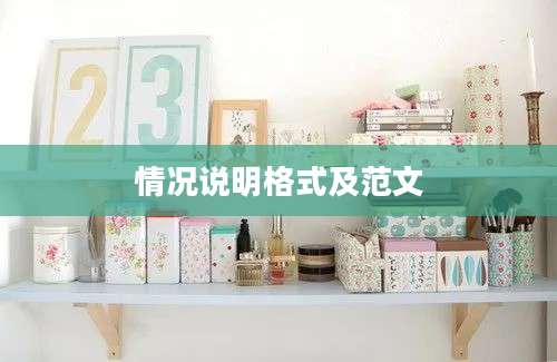情况说明格式及范文