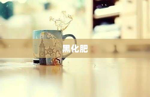 黑化肥
