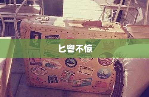 匕鬯不惊
