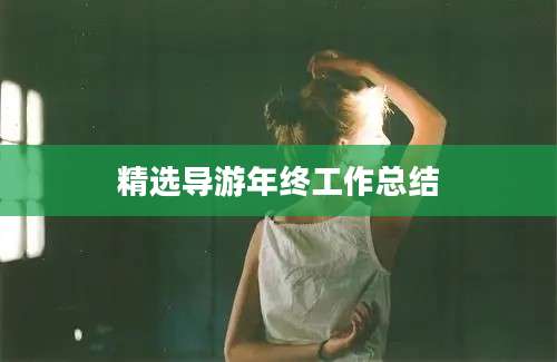 精选导游年终工作总结