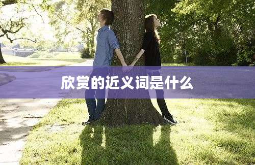 欣赏的近义词是什么