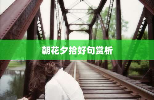 朝花夕拾好句赏析