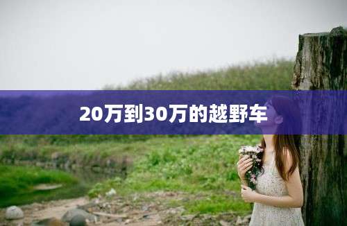 20万到30万的越野车