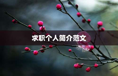 求职个人简介范文