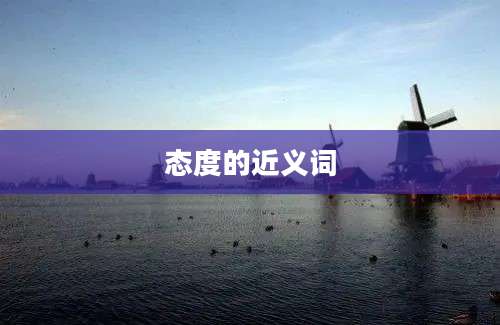 态度的近义词