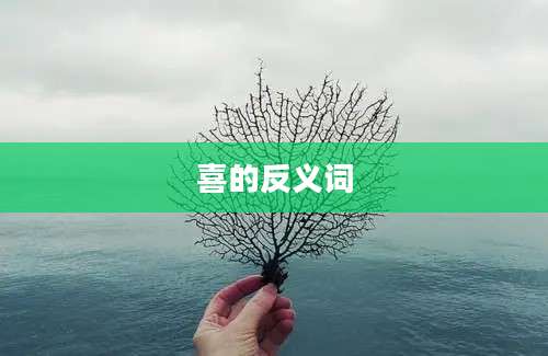 喜的反义词