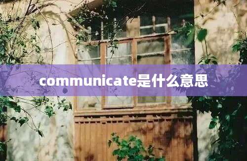 communicate是什么意思