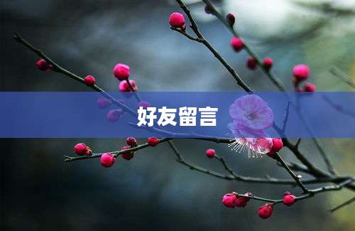 好友留言