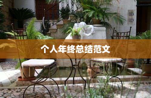 个人年终总结范文